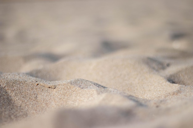 Zbliżenie fal piaskowych stworzonych przez wiatr na plaży