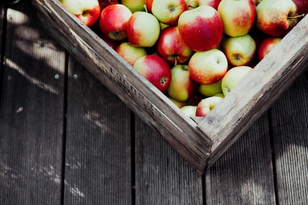 Zdjęcie zbliżenie jabłek w pojemniku
