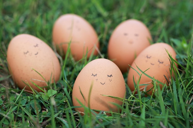 Zdjęcie zbliżenie jaj w trawie