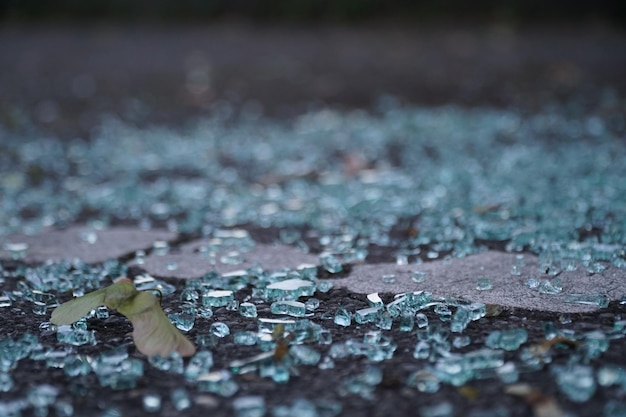 Zdjęcie zbliżenie jaszczurki na liście jesienią