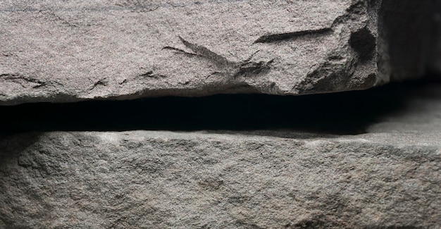 Zdjęcie zbliżenie jaszczurki na skale