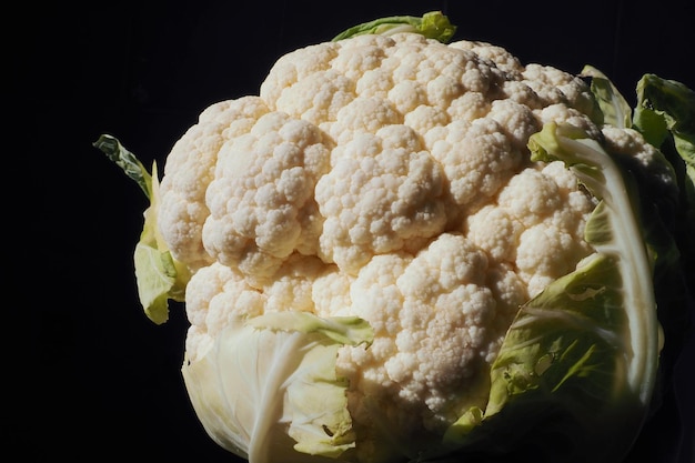 Zbliżenie kalafiora na czarnym tle Oświetlenie boczne Świeża główka kapusty Zielone warzywa Brassica oleracea z rodzaju Brassica Brassicaceae Zdrowa żywność i wegetarianizm