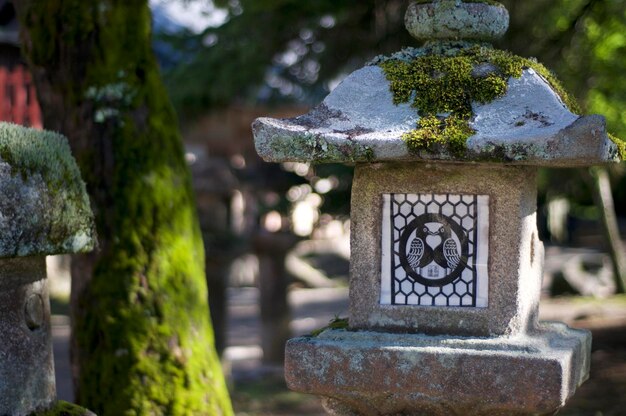 Zbliżenie kamiennej latarni w świątyni Tamukeyama Hachimangu w Nara w Japonii