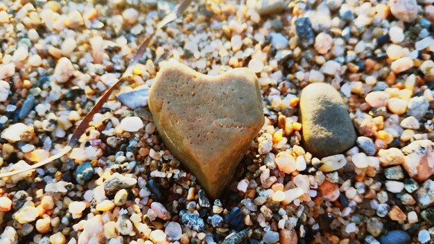 Zdjęcie zbliżenie kamyków na piasku na plaży