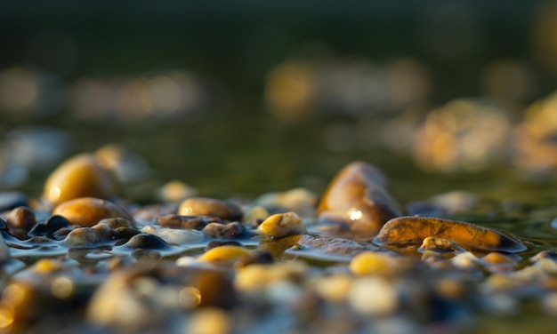 Zdjęcie zbliżenie kamyków na plaży