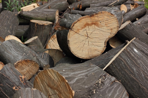 Zbliżenie kawałków drewna posiekanych jako drewno opałowe leżące na ziemi Drewniane kłody leżące na ziemi na zewnątrz