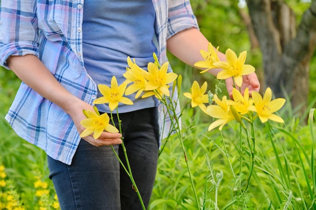 Zbliżenie kobiecej dłoni dotykającej kwitnących żółtych liliowców