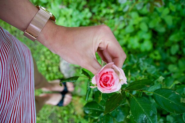 Zbliżenie kobiety trzymającej różowy kwiat