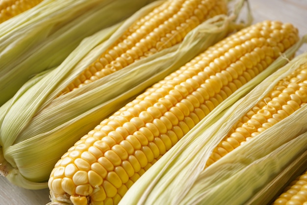 Zbliżenie kolb dojrzałej surowej kukurydzy