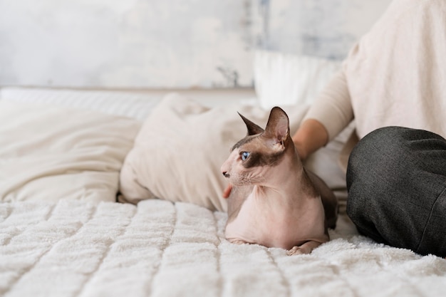 Zdjęcie zbliżenie kota i właściciela siedzącego w łóżku