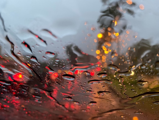 Zbliżenie kropli deszczu na liściach w porze deszczowej