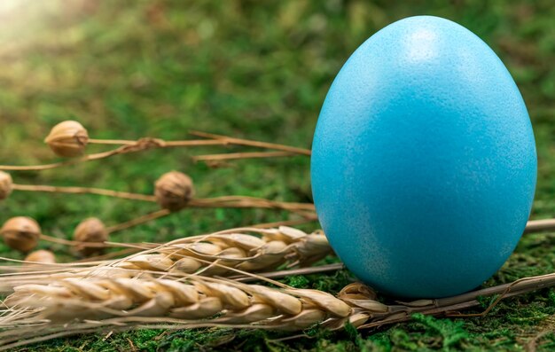 Zbliżenie kurze jajko pomalowane na niebiesko na zielonej trawie w słoneczny wiosenny dzień