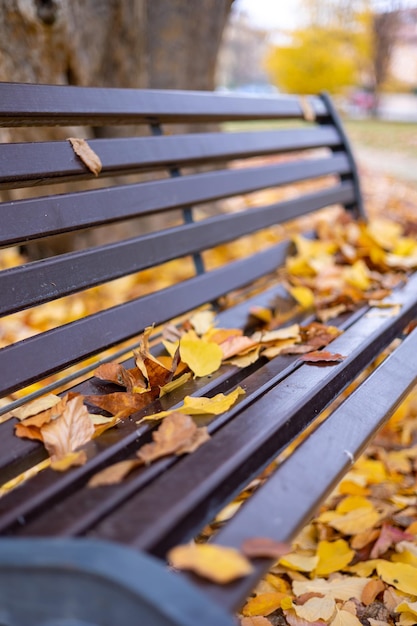 Zbliżenie ławki pokrytej kolorowymi opadłymi liśćmi w jesiennym parku. Ławka jesienią.
