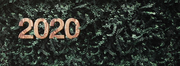 Zbliżenie liczby roślin w 2020 r.
