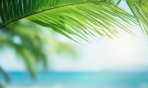 Zbliżenie liści palmowych z rozmytą tropikalną plażą oświetloną słońcem plażą w miękkim tle Scena tropikalna Utworzono przy użyciu generatywnych narzędzi AI