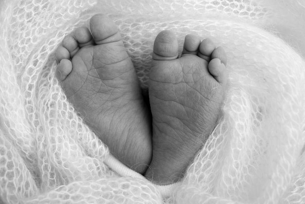Zbliżenie malutkich ślicznych gołych palców stóp i stóp nowonarodzonej dziewczynki i chłopca Stopa dziecka na miękkim kocu narzuty Szczegóły nóg noworodka Makro poziome profesjonalne zdjęcie studyjne Czarno-białe