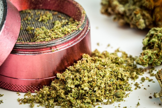 Zbliżenie medycznych pąków marihuany na białym tle Pojęcie medycyny ziołowej i alternatywnej