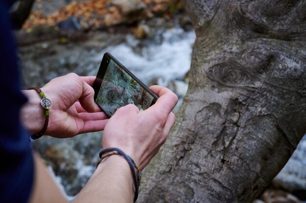 Zbliżenie męskich rąk robiących zdjęcie pnia drzewa w lesie za pomocą telefonu komórkowego