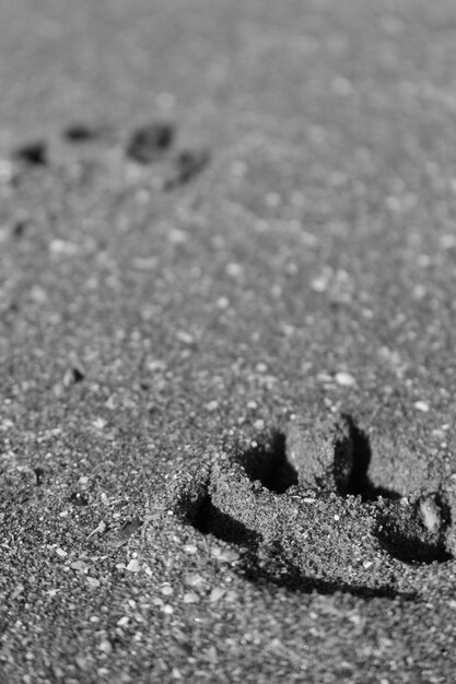 Zdjęcie zbliżenie mokrego piasku na plaży