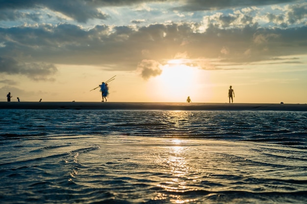 Zbliżenie muszelek na tropikalnej plaży Muszle na plaży z zachodem słońca i chodzącymi ludźmi