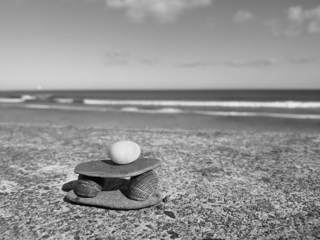 Zbliżenie muszli na piasku na plaży na tle nieba