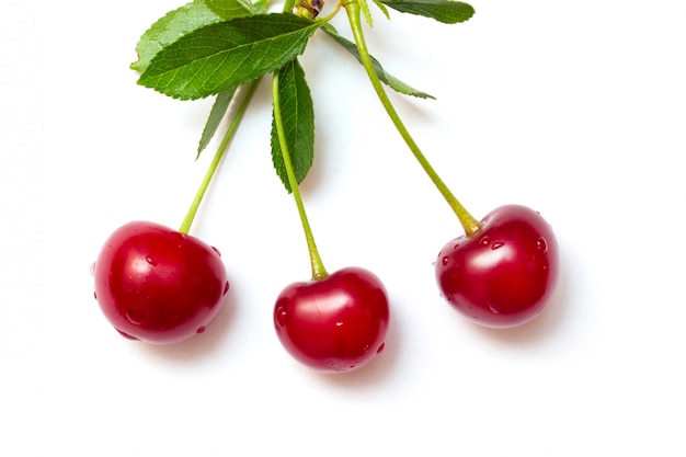 Zbliżenie na czerwone soczyste jagody wiśni na białym tle