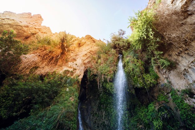 Zbliżenie Na Great Falls Shulamit Spadające Ze Szczytu Góry Z Zielonymi Drzewami I Krzewami. Ein Gedi - Rezerwat Przyrody I Park Narodowy, Izrael. Egzotyczny Toutyzm, Wycieczki Ekologiczne, Wycieczki Ekstremalne