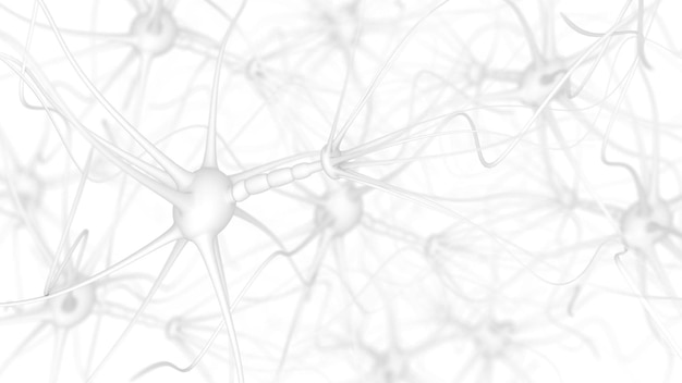 Zbliżenie na mózg ze słowami neuron po prawej stronie.