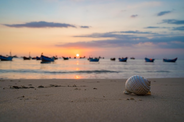 Zbliżenie na muszle na tropikalnej plaży Muszle na plaży z zachodem słońca i łodzią