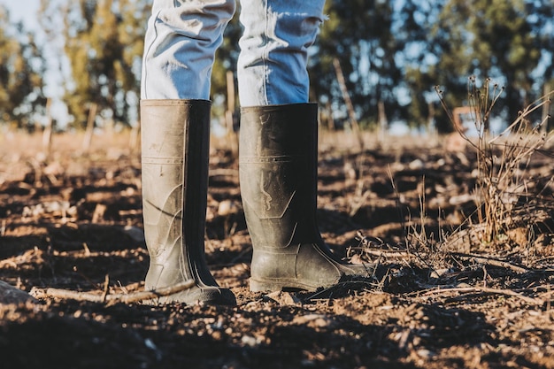 Zbliżenie Na Nogi I Stopy Rolnika Za Pomocą Gumowych Butów Na środku Pola Uprawnego