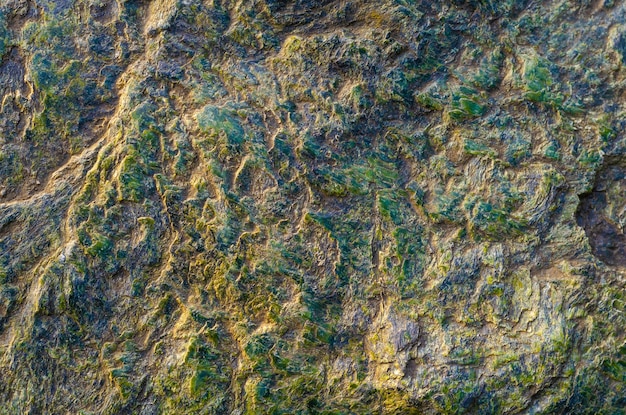 Zbliżenie na skałę z zielonym i żółtym wzorem.