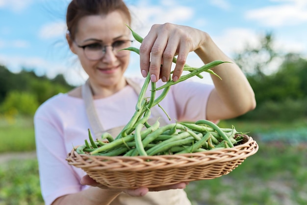 Zbliżenie na świeże oskubane zielone fasolki szparagowe w koszu w rękach kobiety, ogród warzywny w tle sezonu letniego