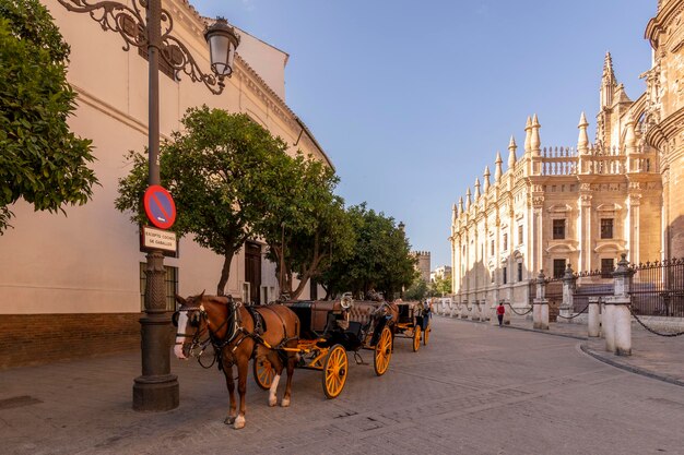 Zbliżenie Na Wóz Konny Jadący Przez Architekturę Sewilli W Hiszpanii