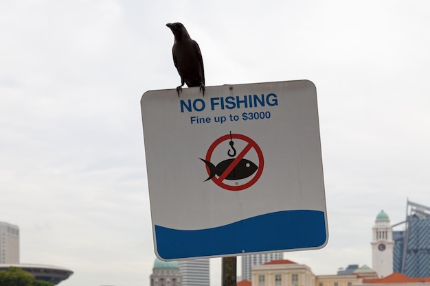 Zbliżenie na wronę domową na szczycie znaku zakazu połowów w Singapurze