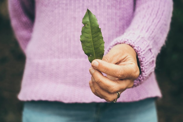 Zbliżenie na zielony liść trzymany ludzką ręką w parku na świeżym powietrzu Koncepcja życia kolorowego Środowisko i ratowanie misji lasu i lasu dla ziemi Naturalne życie ludzi dbających o przyszłość i planetę