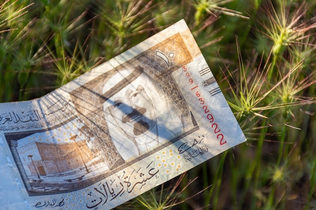 Zdjęcie zbliżenie nowoczesne banknoty pieniądze arabii saudyjskiej na trawie na łące