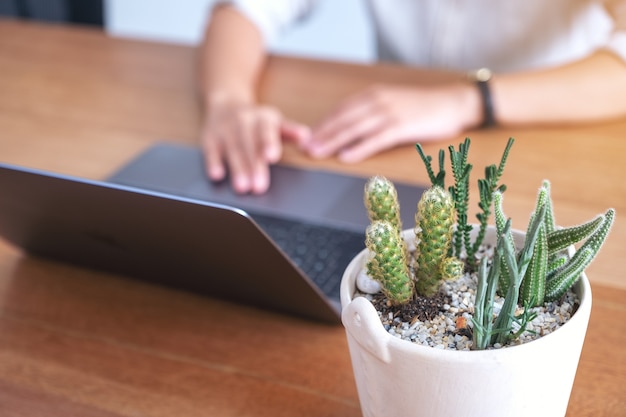 Zbliżenie obraz kobiety za pomocą tabletu dotykowego komputera przenośnego z doniczką kaktus i dotykając go na drewnianym stole