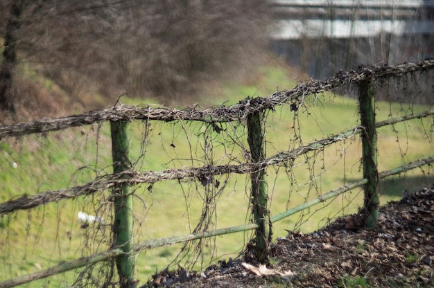 Zdjęcie zbliżenie ogrodzenia z drutu kolczastego na polu