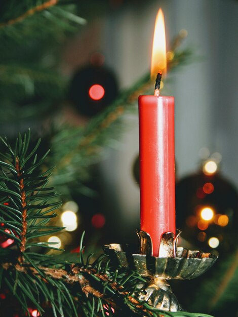 Zbliżenie oświetlonej świecy na choinie bożonarodzeniowym