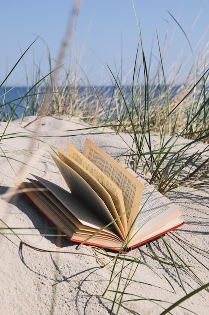 Zdjęcie zbliżenie otwartej książki na plaży przez rośliny