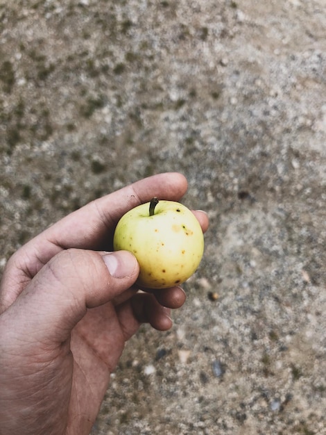 Zdjęcie zbliżenie owoców w ręku