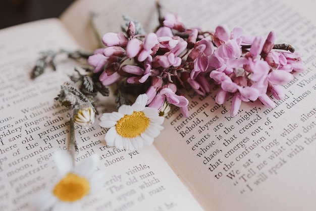 zbliżenie piękny mały kwiat wiosenny margarita rumianek na tle starej książki