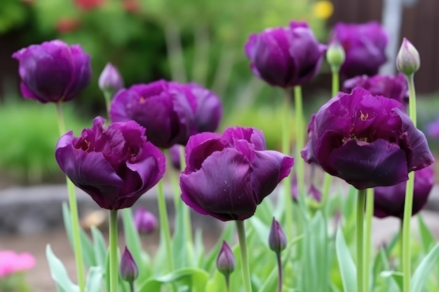 Zbliżenie pięknych fioletowych tulipanów rosnących w ogrodzie z przestrzenią do kopiowania utworzoną za pomocą generatywnej ai