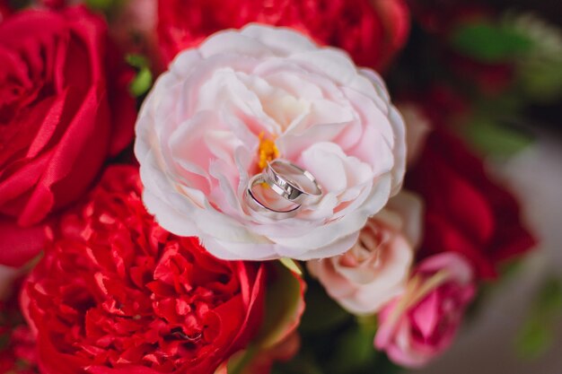 Zdjęcie zbliżenie pierścieni ślubnych na róży