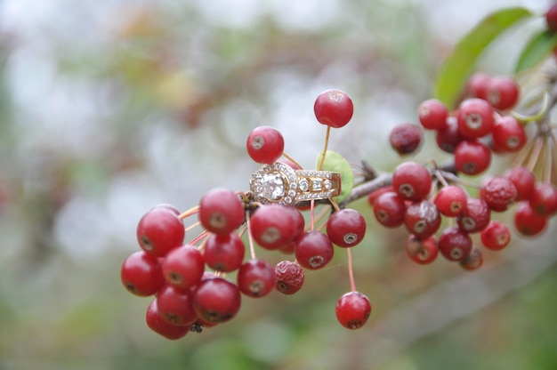 Zdjęcie zbliżenie pierścienia na czerwonych jagodach