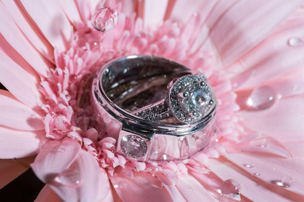 Zdjęcie zbliżenie pierścienia na głowie kwiatu