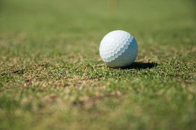 Zbliżenie piłki golfowej na boisku