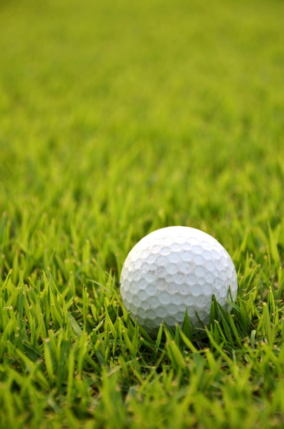 Zbliżenie piłki golfowej na trawie