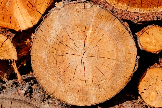 Zbliżenie plasterka drewniany krzyż notuje drzewną sekcję żółtego brąz