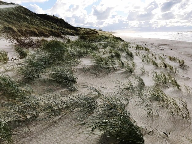 Zdjęcie zbliżenie plaży na tle nieba